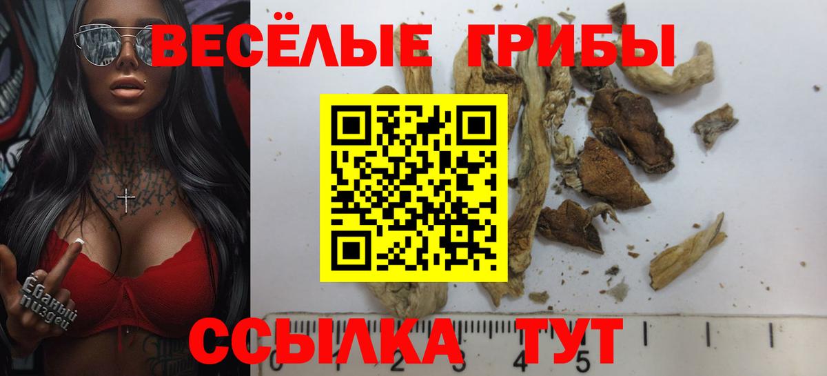 Кулебаки  Псилоцибиновые грибы MAGIC MUSHROOMS  Вход с VPN 